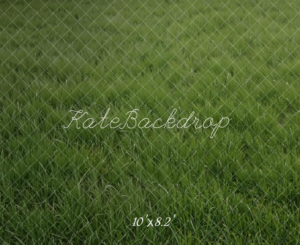 Kate Green Grass Field Floor Printed Backdrop Designed by Kate Image