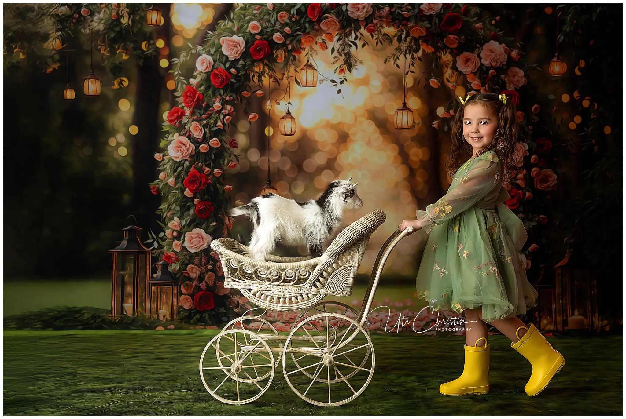 Kate Valentine Lantern Flower Arch Printed Backdrop Designed by Emetselch