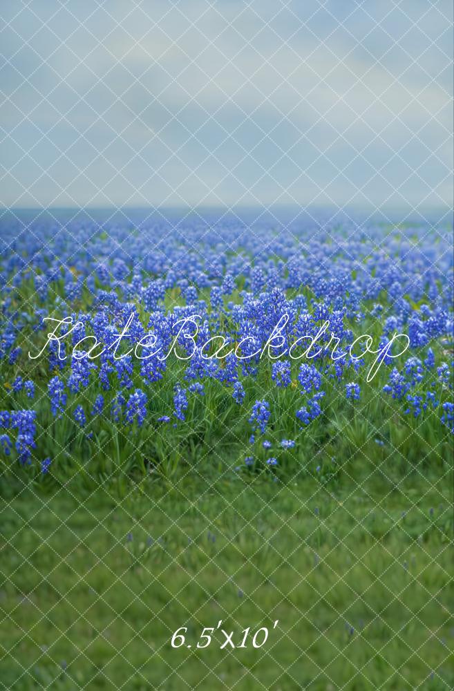 Spring Floral Bluebonnet Meadow Foto Achtergrond Designed by Emetselch