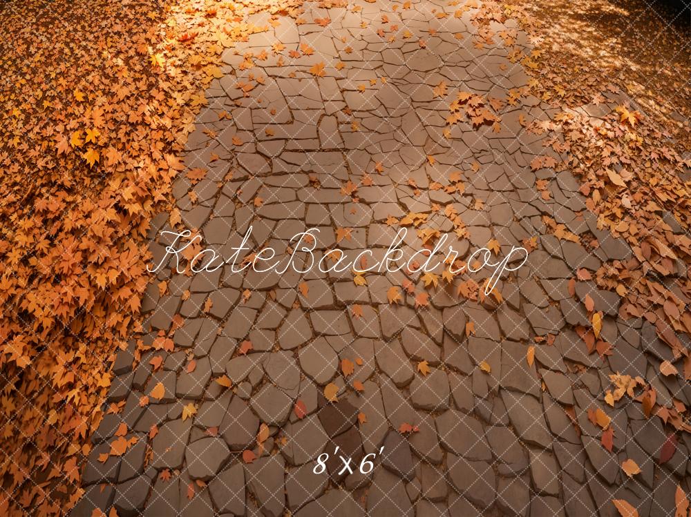 Fall Cobblestone Leaves Floor Backdrop Designed by Kate Image