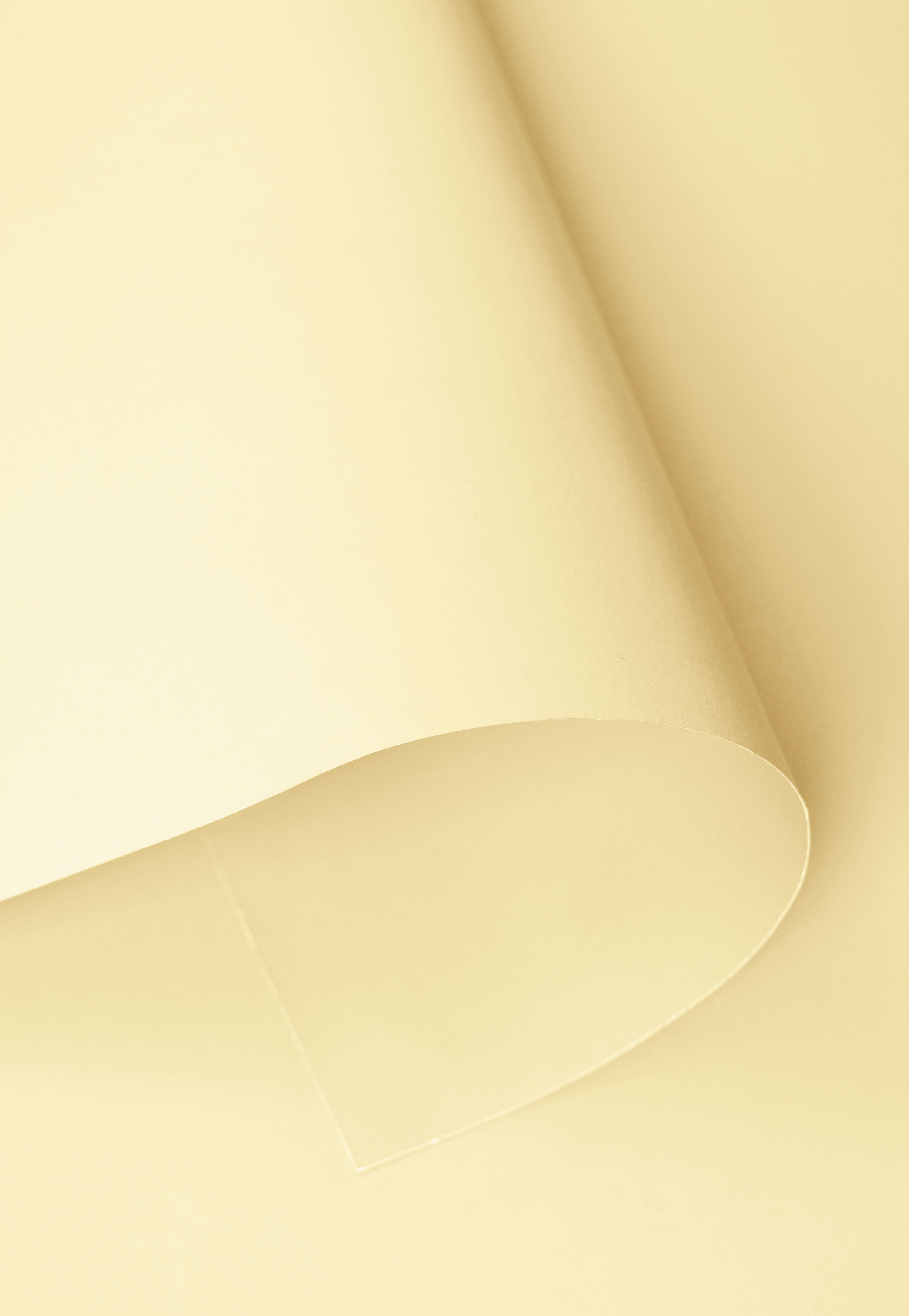 SALE RTS Kate Cream Yellow Seamless Paper Backdrop for Photography (US Only)