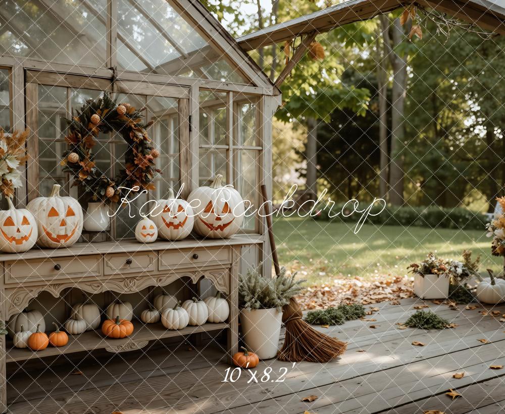 Kate Halloween Pumpkins Greenhouse Porch Garden Backdrop Designed by Mini MakeBelieve