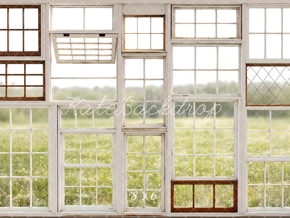 Kate Vintage Window Pane Field Printed Backdrop Designed by Mini MakeBelieve