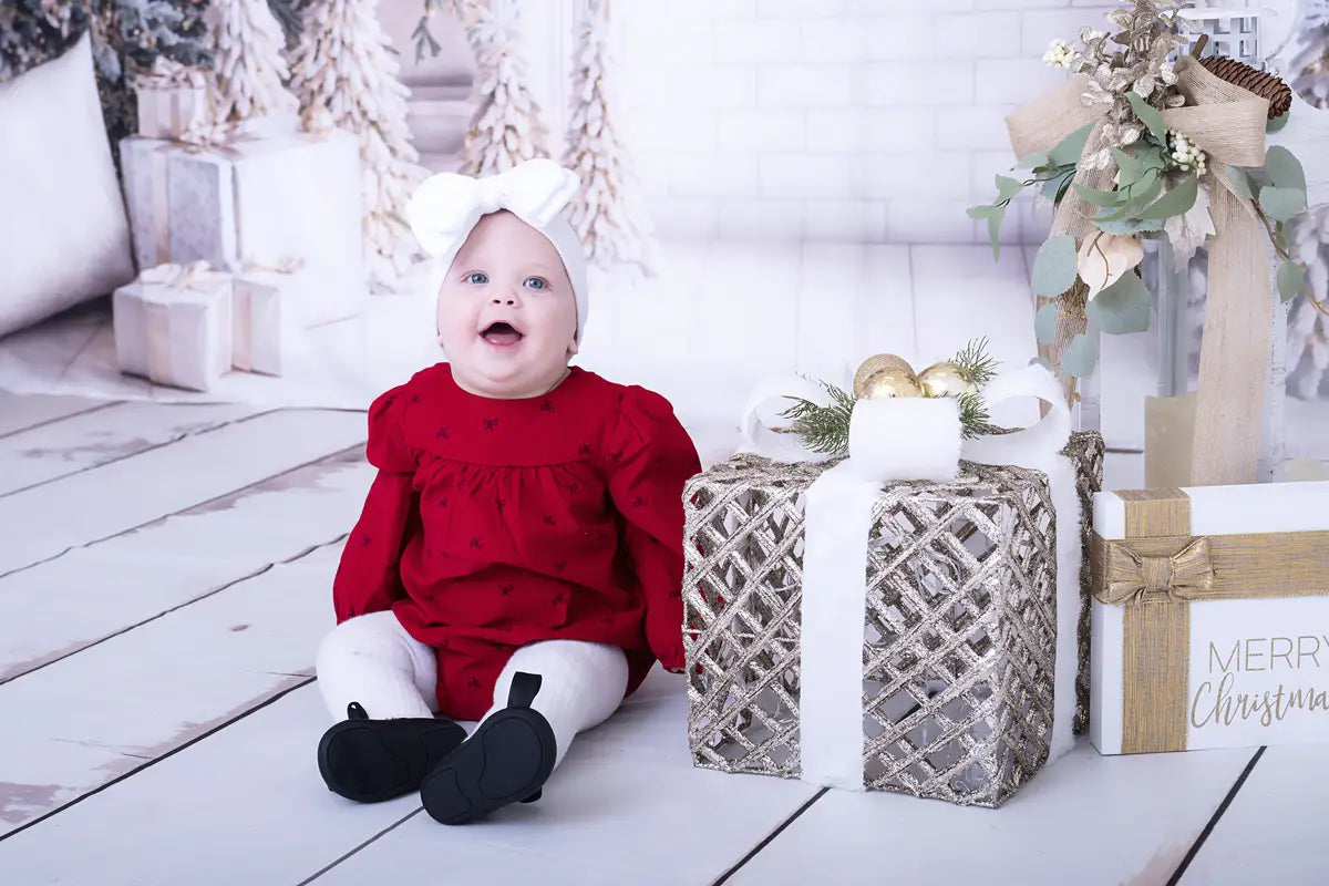 Kate Christmas White Window Wreath Backdrop Designed by Emetselch