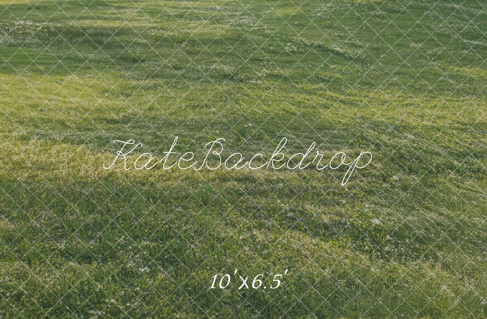 Kate Green Grass Sunlight Floor Backdrop Designed by Kate Image