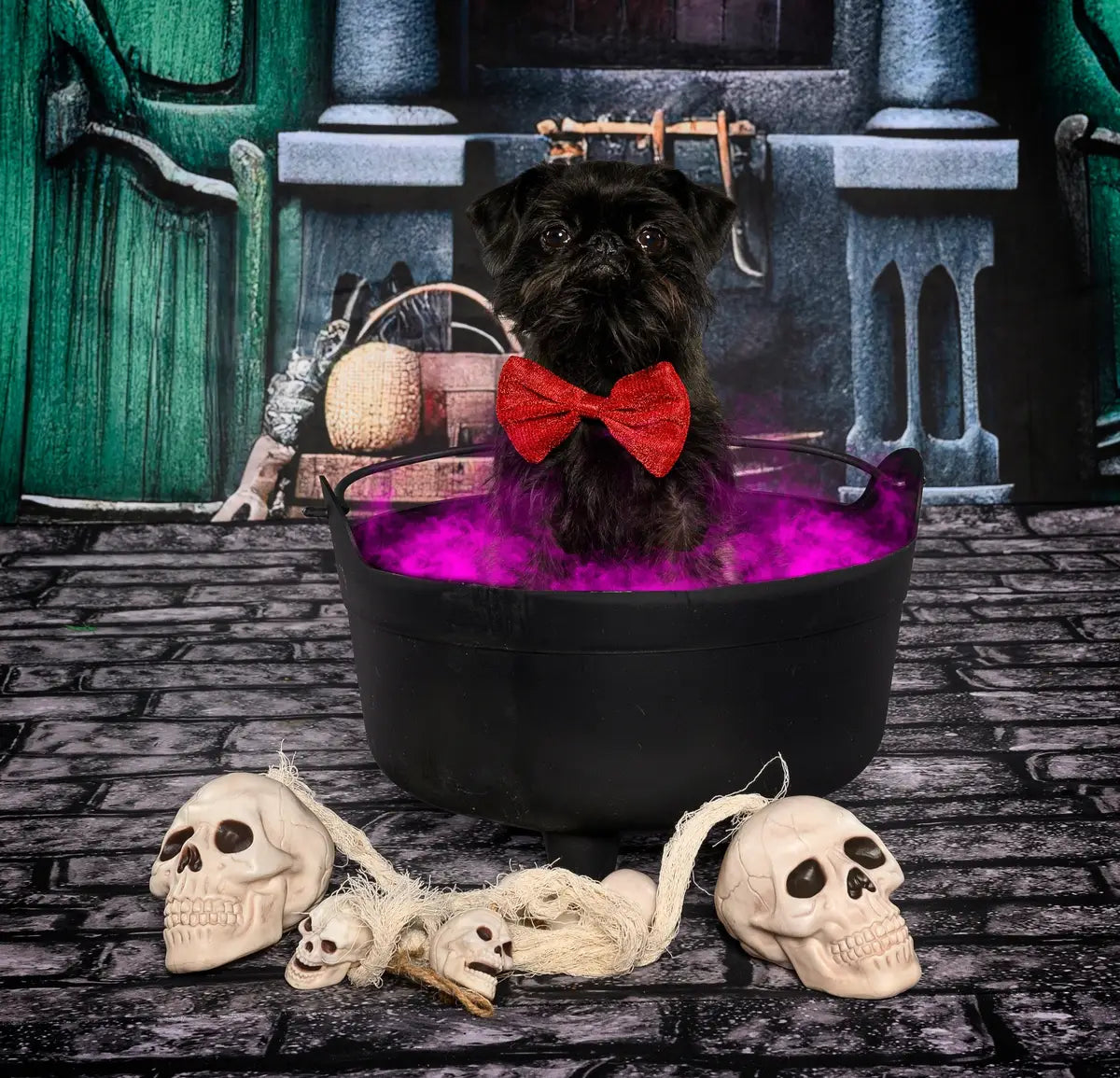 Halloween Green Door Street Pumpkin Backdrop Progettato da GQ