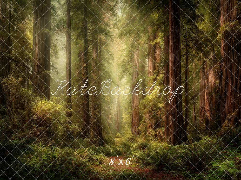 Kate Forest Tall Trees Sunlight Printed Backdrop Designed by Angela Miller
