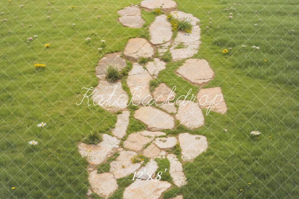 Kate Stone Pathway With Daisies On Green Grass Floor Backdrop Designed by Emetselch