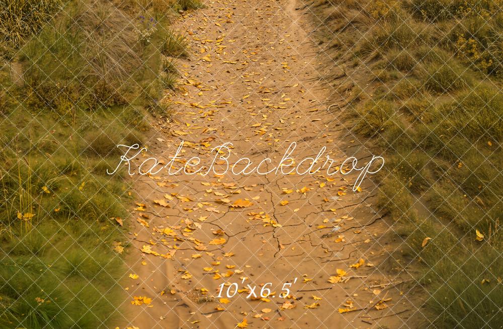Fondo de hojas de camino de otoño césped