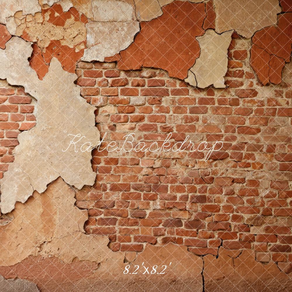 Kate Vintage Brick Wall Peeling Plaster Backdrop Designed by Mini MakeBelieve