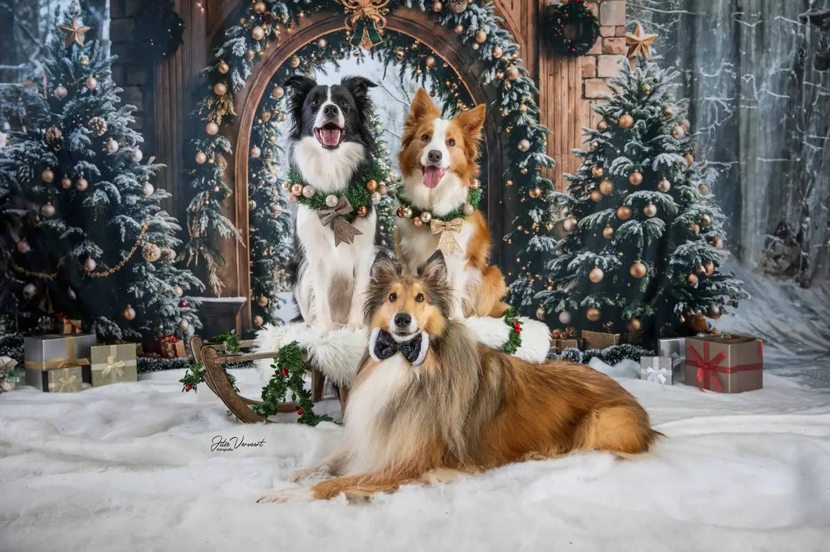 Fondo de arco retro de árbol de Navidad Designed by Emetselch