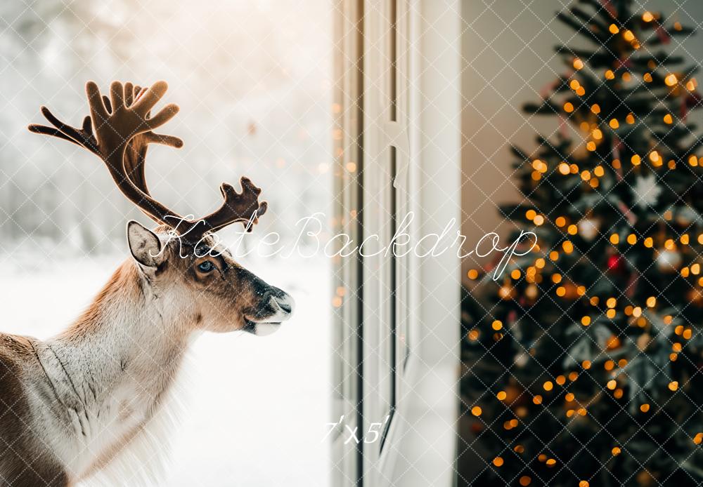 Kate Christmas Reindeer Window Tree Lights Backdrop Designed by Kerry Anderson