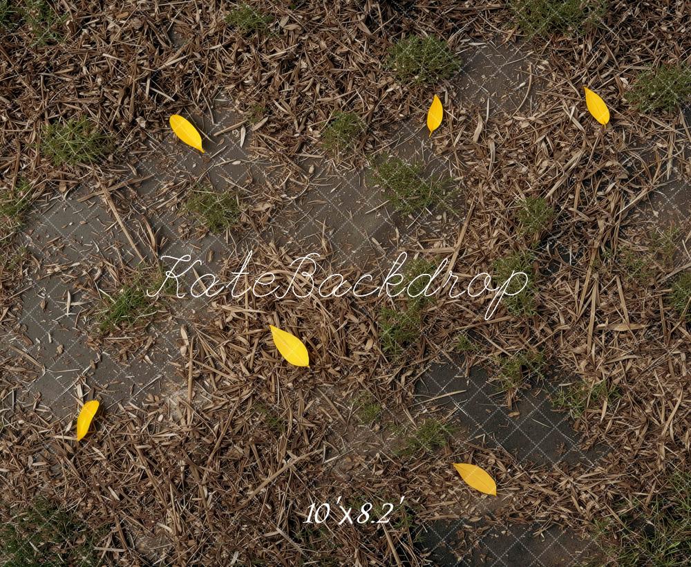 Kate Fall Yellow Leaves Mulch Ground Printed Backdrop Designed by Mini MakeBelieve