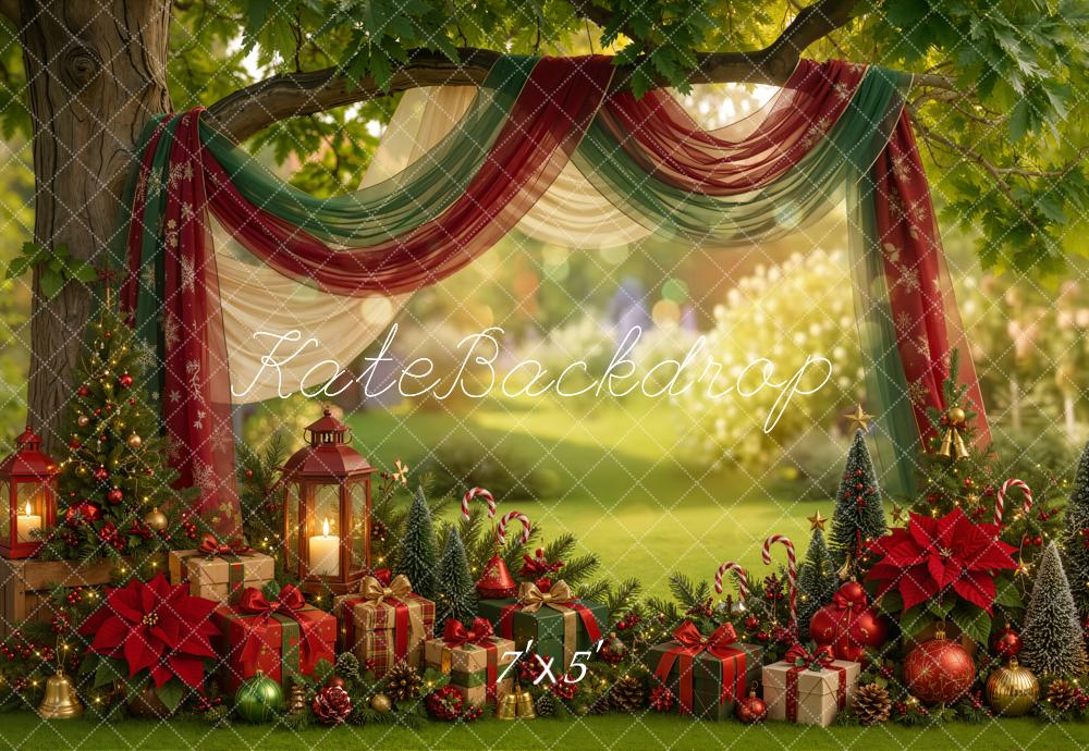 Kate Christmas Summer Outdoor Draped Arch Gifts Lanterns Printed Backdrop Designed by Emetselch