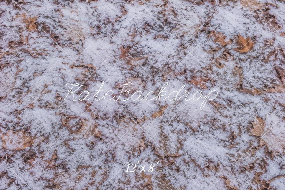 Kate Winter Snowy Leaves Floor Printed Backdrop Printed Backdrop Designed by Vertigo Productions