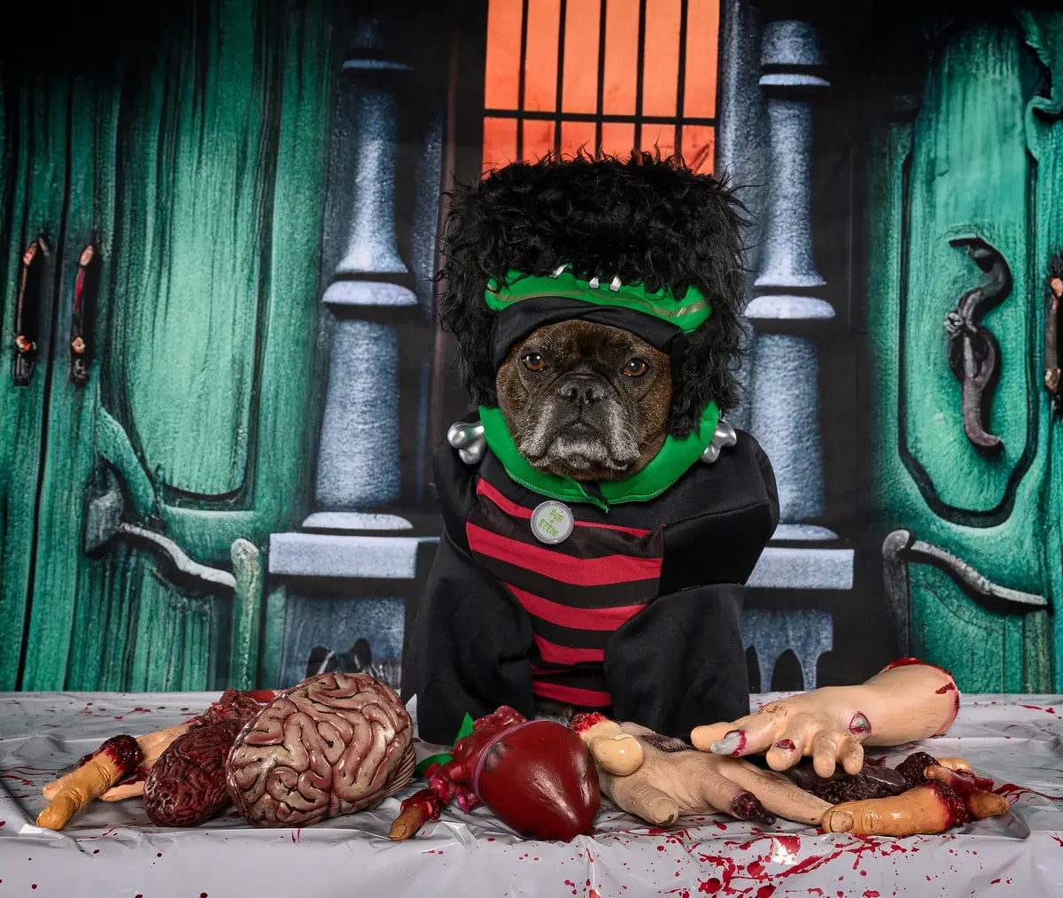 Halloween Green Door Street Pumpkin Backdrop Progettato da GQ