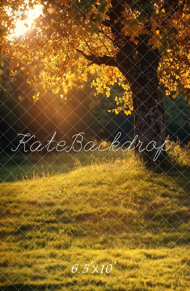 Kate Fall Outdoor Golden Tree Sunset Backdrop Designed by Emetselch