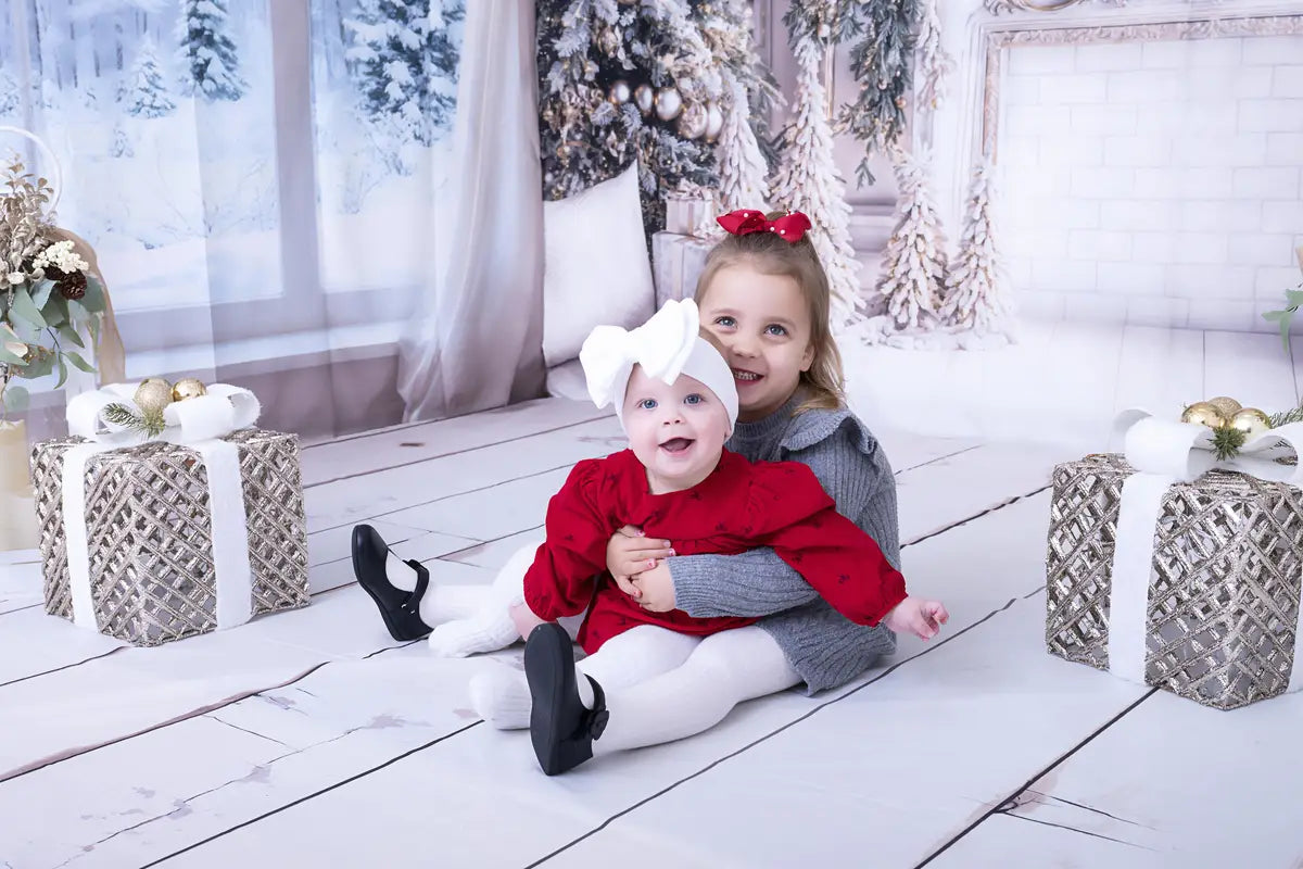 Kate Christmas White Window Wreath Backdrop Designed by Emetselch