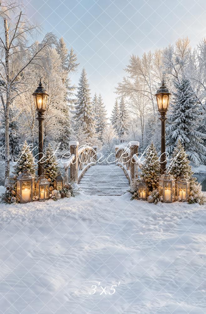 Kate Winter Bridge Path Snowy Lantern Forest Printed Backdrop Designed by Emetselch