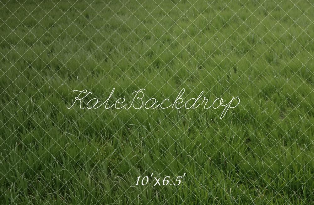 Kate Green Grass Field Floor Printed Backdrop Designed by Kate Image