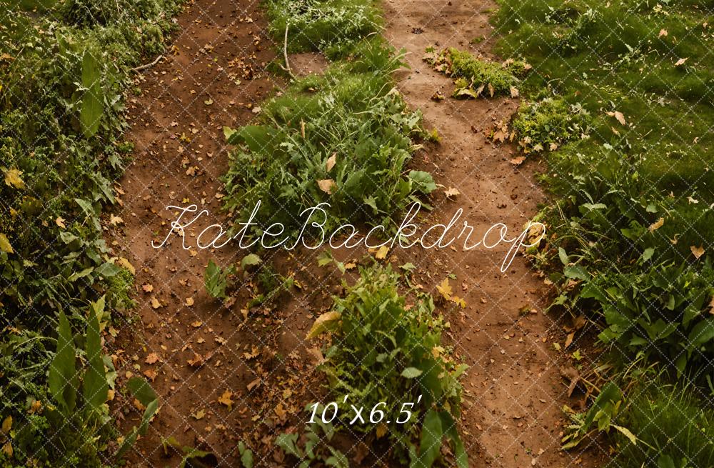 Forest Pad Groen Gras Vloer Foto Achtergrond Designed by Emetselch