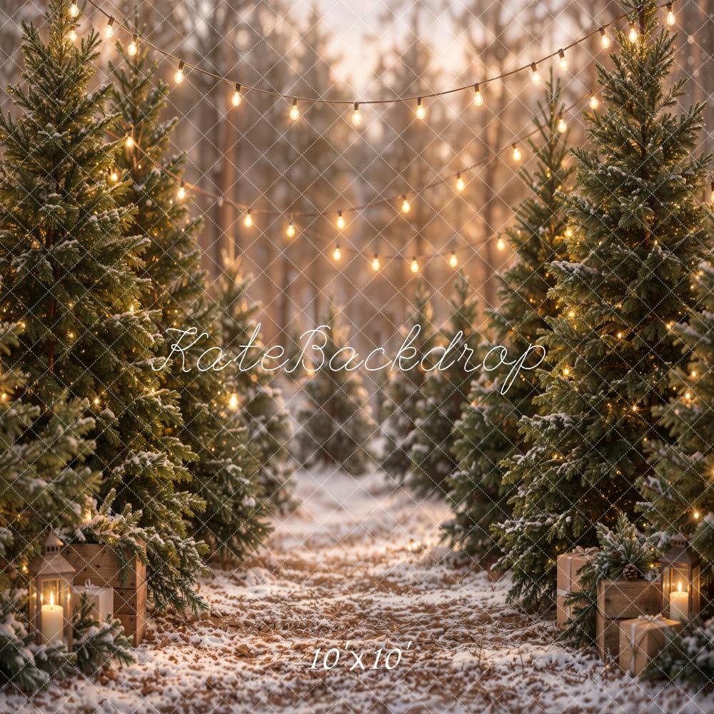 Kate Christmas Snowy Pine Trees Path String Lights Printed Backdrop Designed by Emetselch