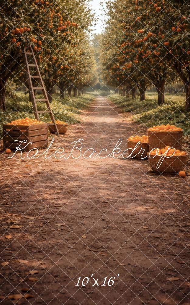 Kate Sweep Orchard Orange Trees Pathway Printed Backdrop Designed by Vertigo Productions