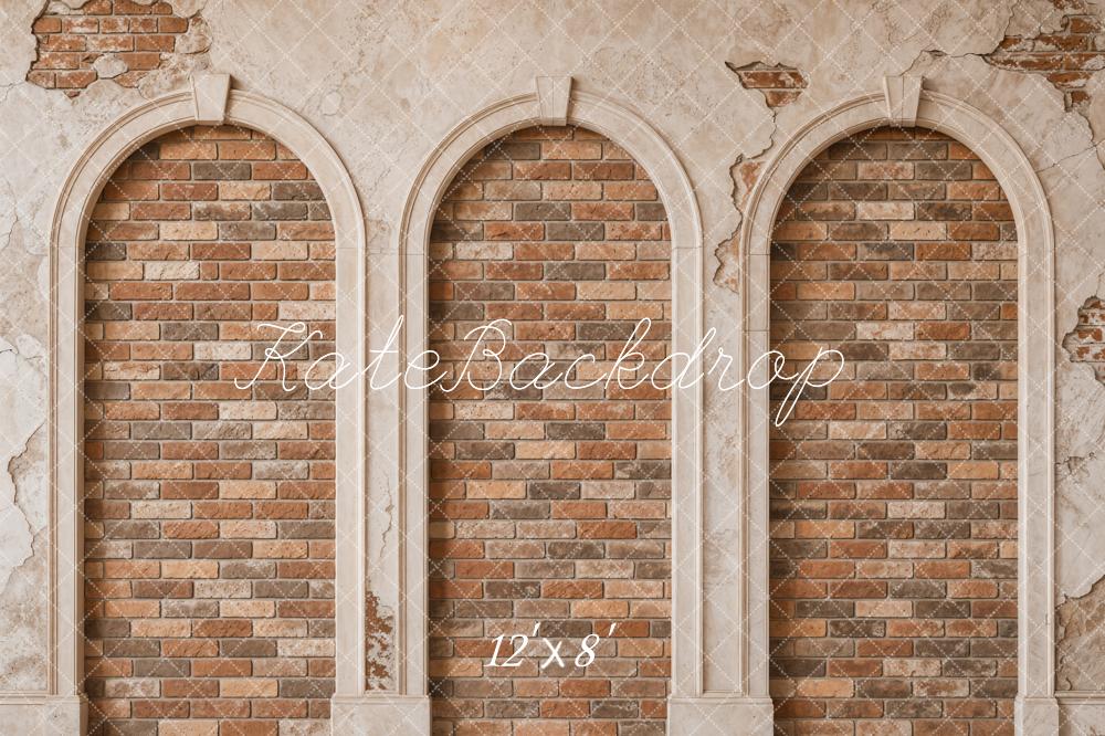 TEST Kate Vintage Brick Arched Wall Printed Backdrop Designed by Emetselch