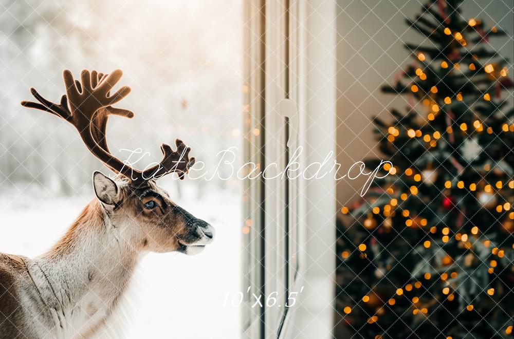 Kate Christmas Reindeer Window Tree Lights Backdrop Designed by Kerry Anderson