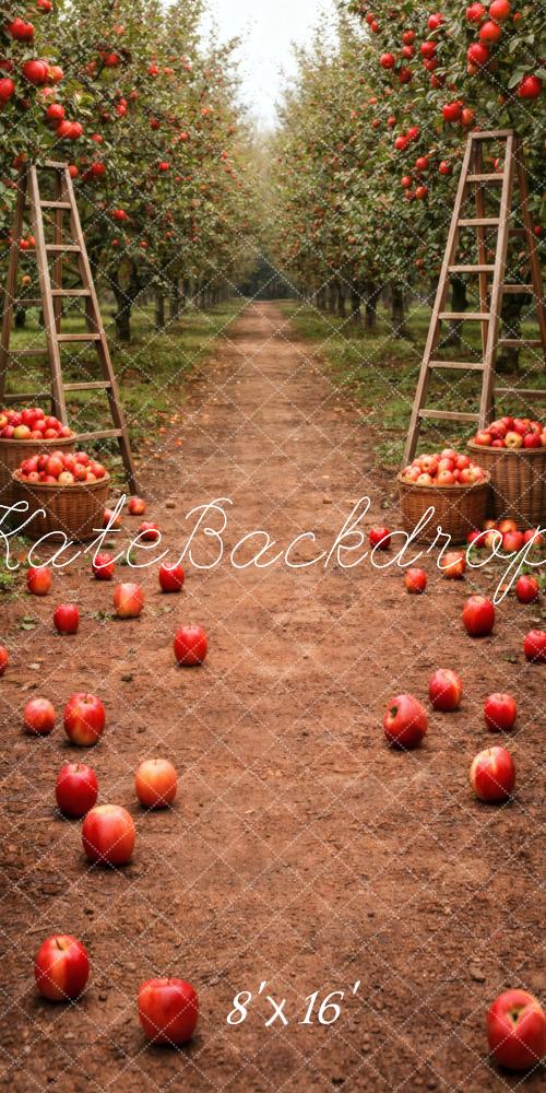Kate Sweep Apple Orchard Path Ladders Baskets Printed Backdrop Designed by Vertigo Productions
