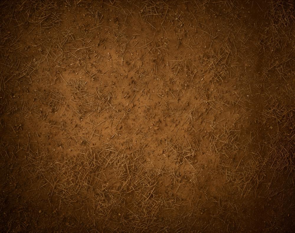 Kate Abstract Brown Dirt Ground Texture Floor Backdrop Designed by Emetselch