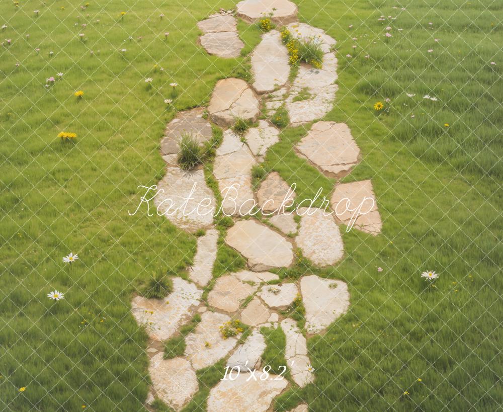 Kate Stone Pathway With Daisies On Green Grass Floor Backdrop Designed by Emetselch