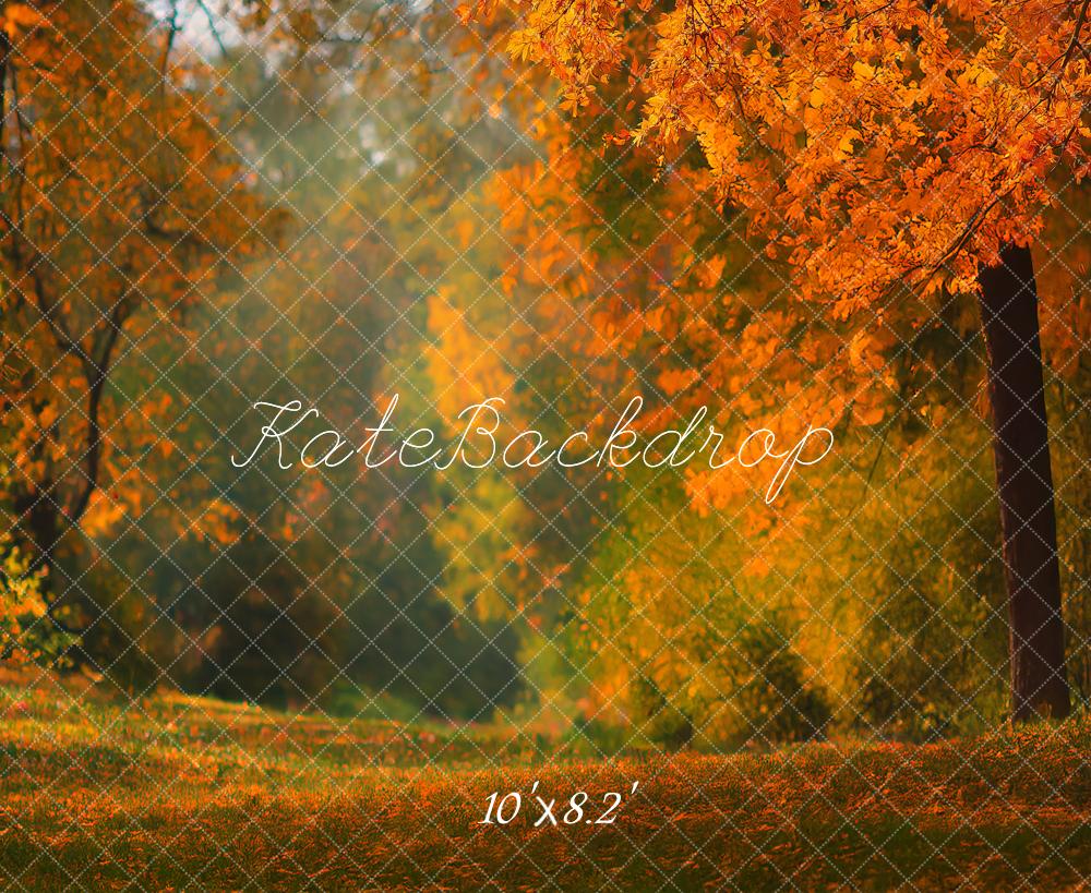 Kate Fall Orange Foliage Forest Printed Backdrop Designed by Angela Miller
