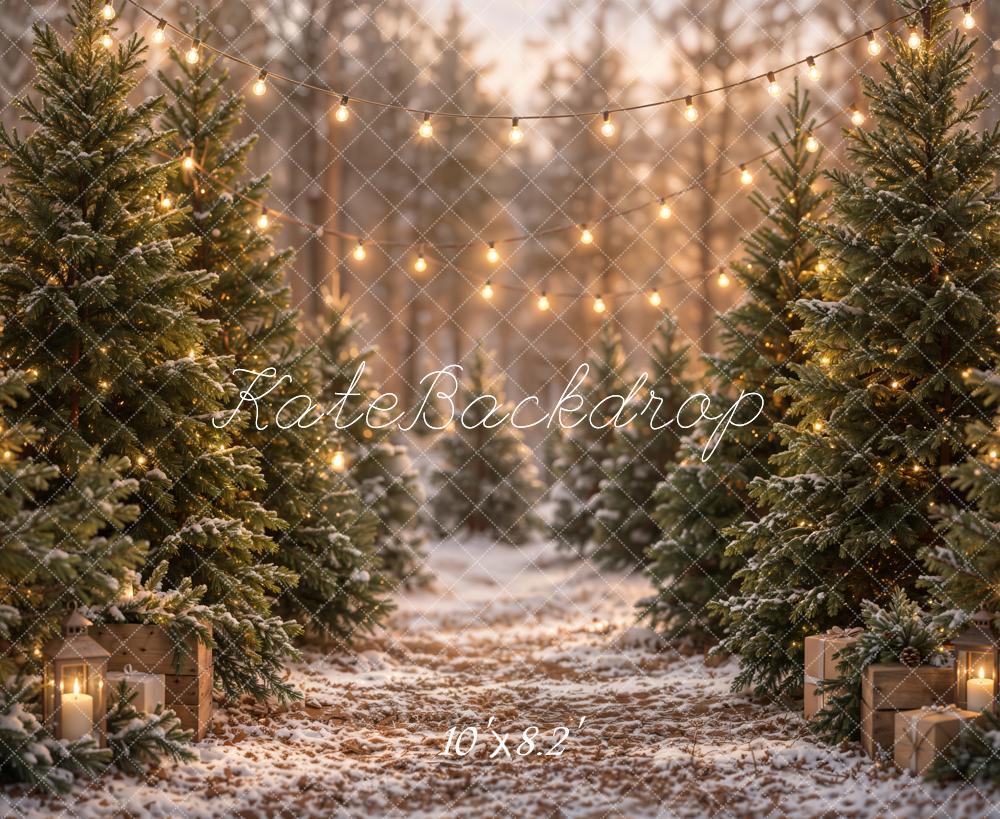 Kate Christmas Snowy Pine Trees Path String Lights Printed Backdrop Designed by Emetselch