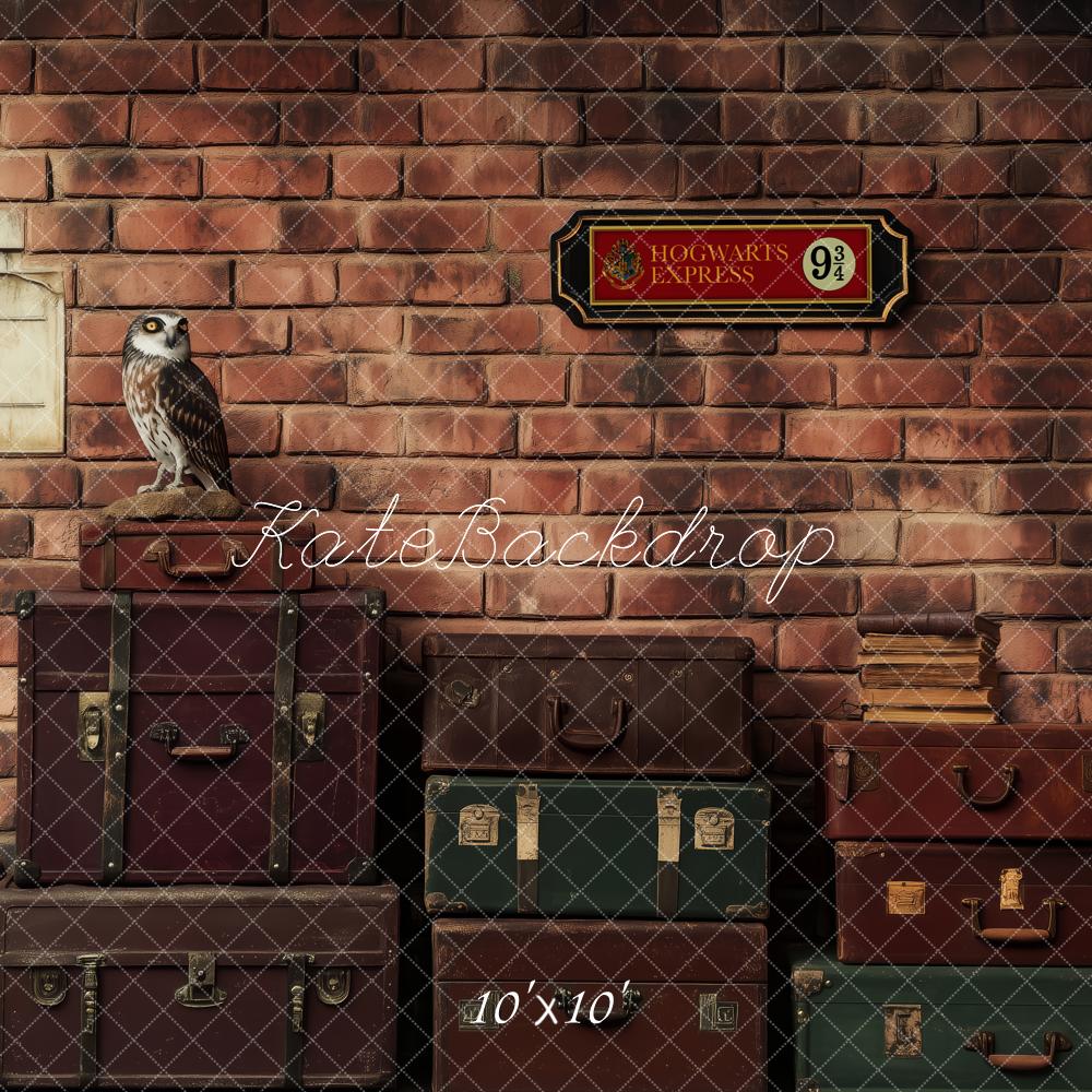 Kate Fantasy Magic Platform Owl Brick Backdrop Designed by Patty Roberts