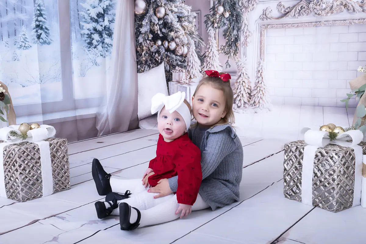 Kate Christmas White Window Wreath Backdrop Designed by Emetselch