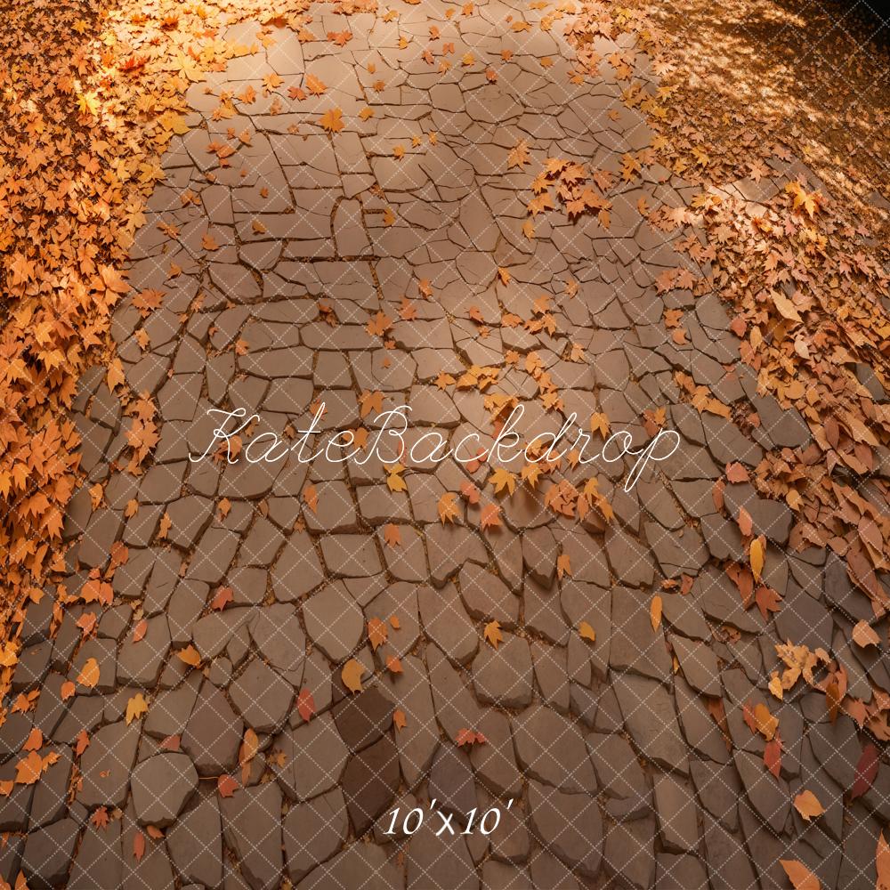 Fall Cobblestone Leaves Floor Backdrop Designed by Kate Image