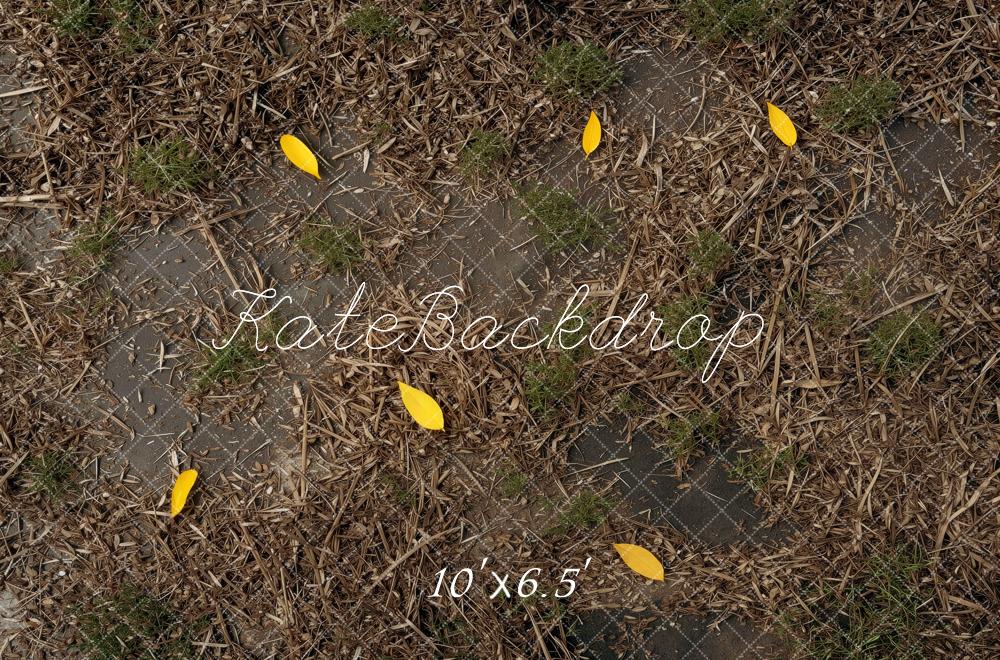 Kate Fall Yellow Leaves Mulch Ground Printed Backdrop Designed by Mini MakeBelieve