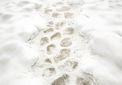 Winter Snow Cobblestone Path Floor Foto Achtergrond Designed by Kate Image