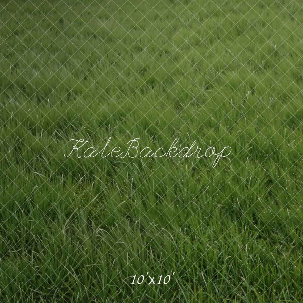 Kate Green Grass Field Floor Printed Backdrop Designed by Kate Image