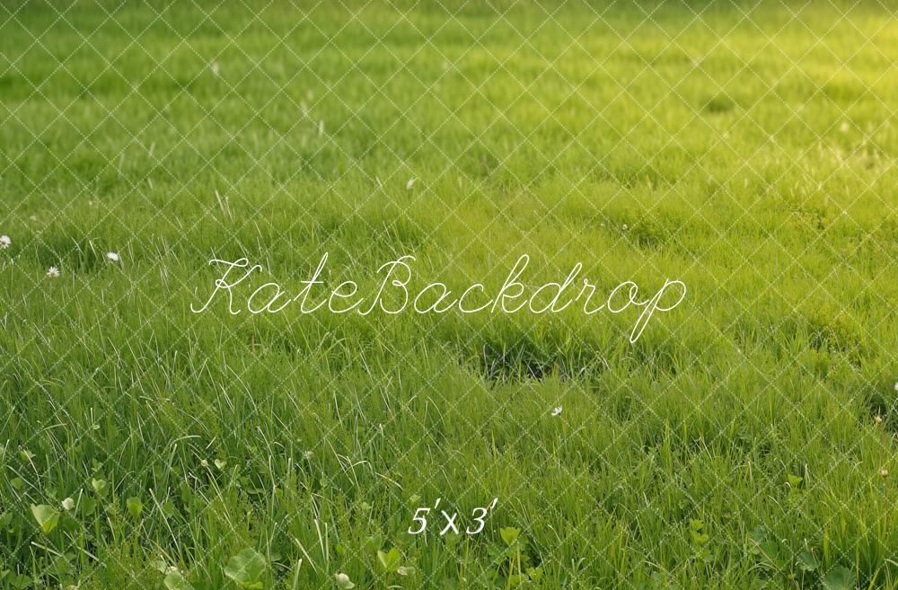 Kate Summer Green Grass Field Printed Backdrop Designed by Emetselch