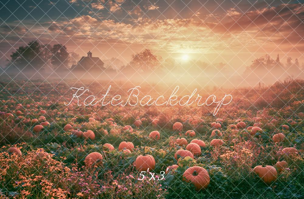 Kate Fall Outside Pumpkin Field Sunrise Printed Backdrop Designed by Angela Miller