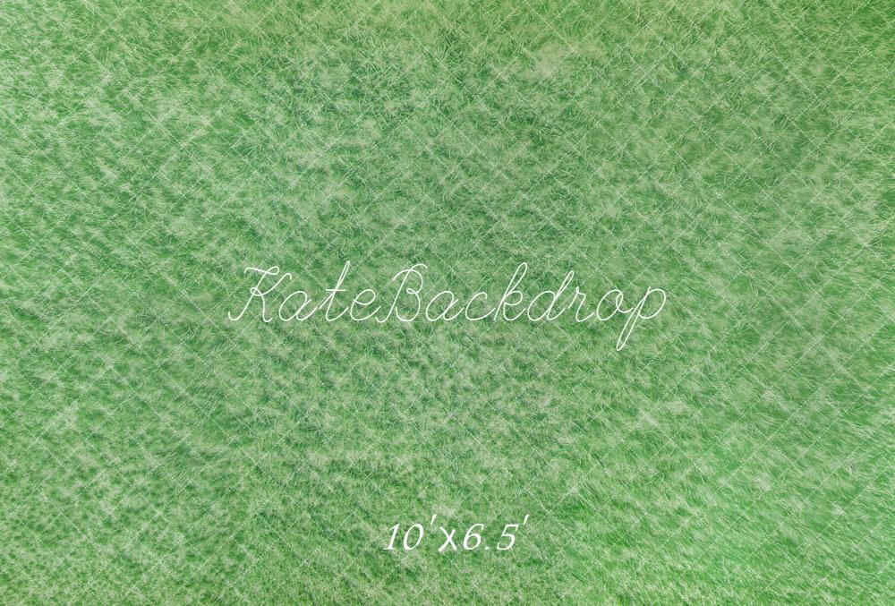 Kate Spring Green Grass Floor Backdrop Backdrop Designed by Emetselch