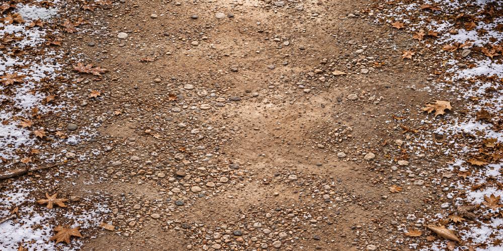 Kate Winter Snowy Dirt Path Withered Leaves Floor Printed Backdrop Designed by Kate Image