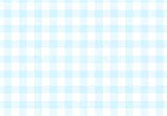 Kate Light Blue Gingham Pattern Printed Backdrop Designed by Mandy Ringe Photography