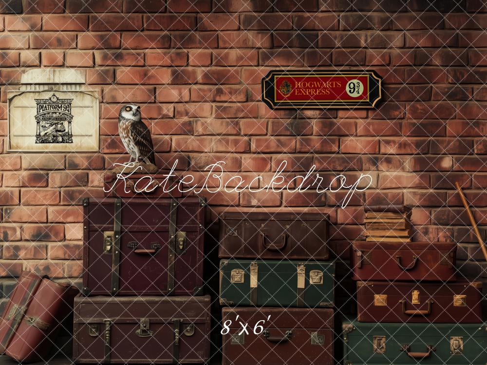 Kate Fantasy Magic Platform Owl Brick Backdrop Designed by Patty Roberts