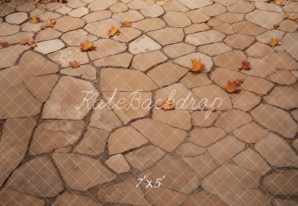 Kate Fall Leaves Cobblestone Floor Backdrop Designed by Emetselch