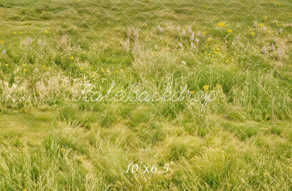 Kate Spring Light Green Meadow Grass Wildflowers Floor Backdrop Designed by Kate Image