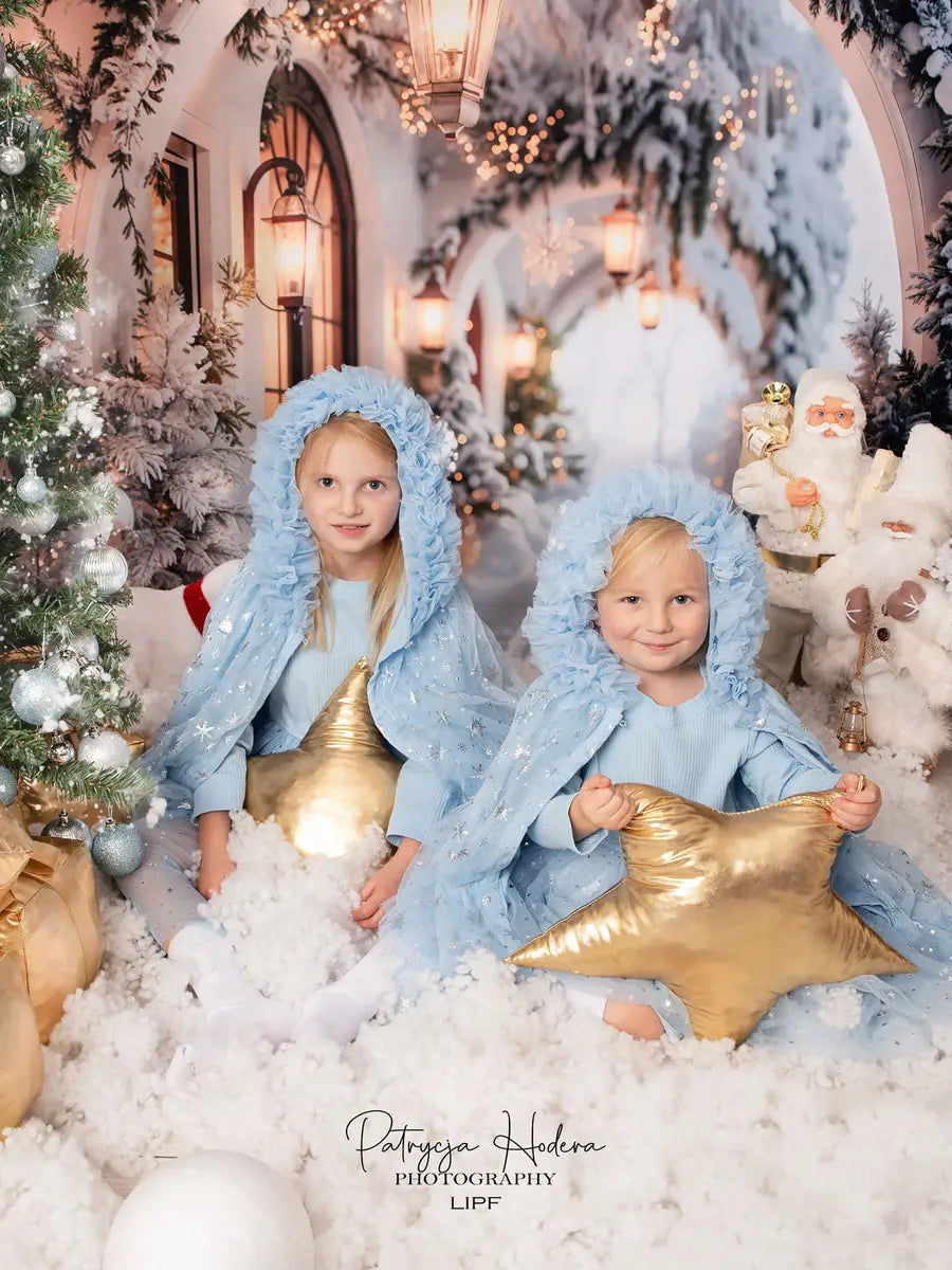 Kate Winter Christmas White Flower Arch Snowy Hallway Backdrop Designed by Emetselch