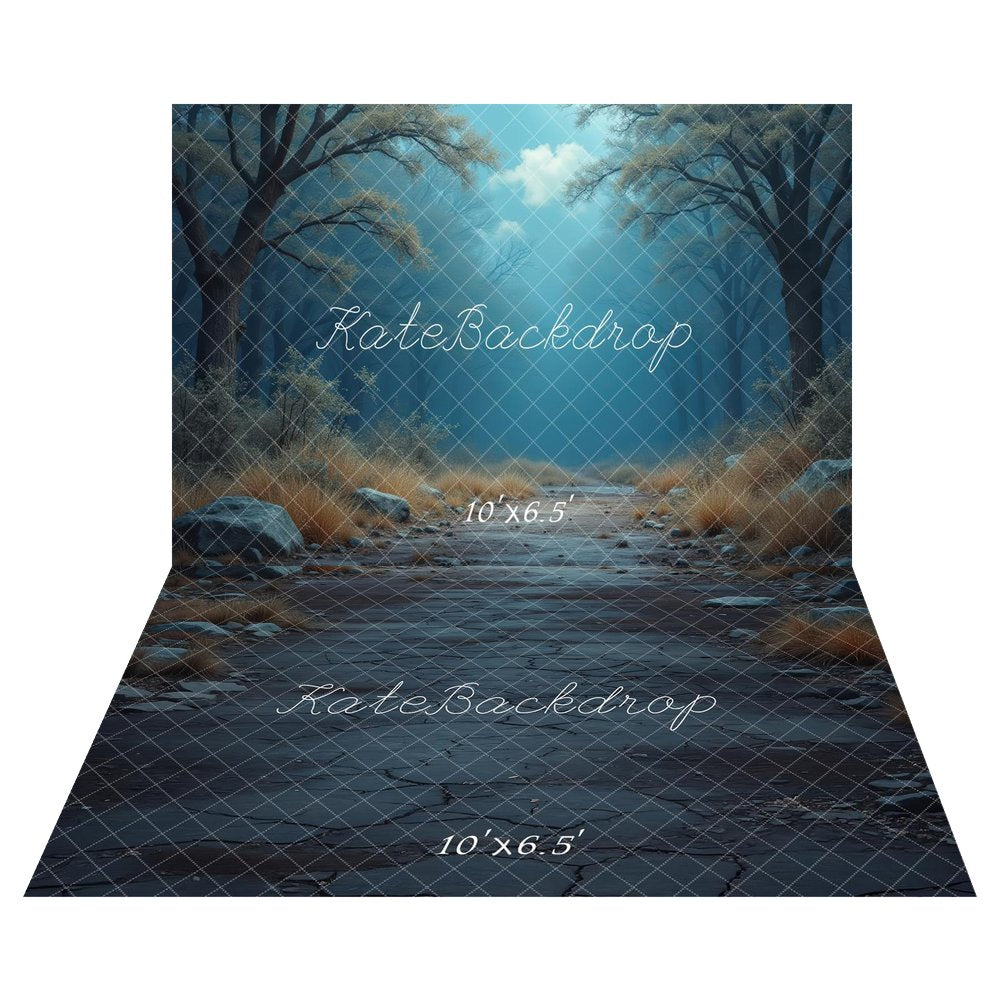 TEST Kate Misty Forest Path Blue Printed Backdrop+Dark Cobblestone Pathway Rocks Grass Floor Printed Backdrop